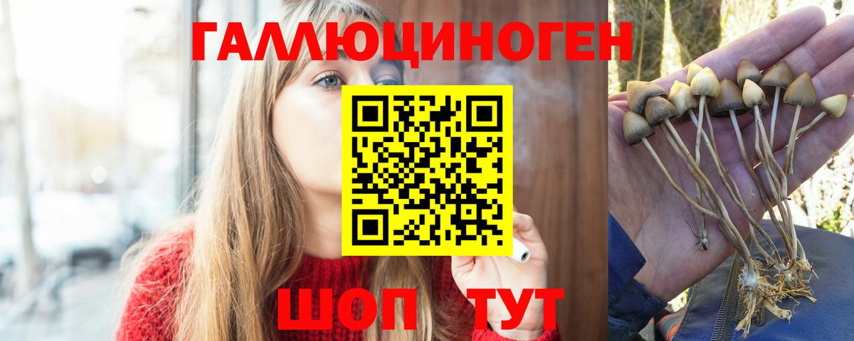 Псилоцибиновые грибы MAGIC MUSHROOMS  наркотики  Тосно  Галлюциногенные грибы прущие грибы  Вход с VPN 