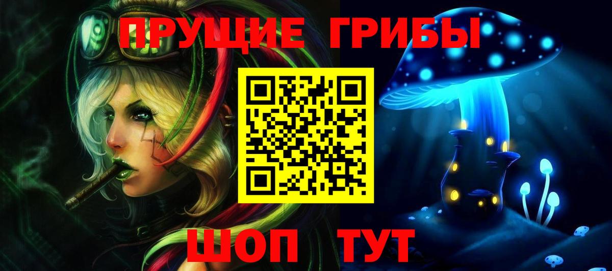 Псилоцибиновые грибы Cubensis Тосно